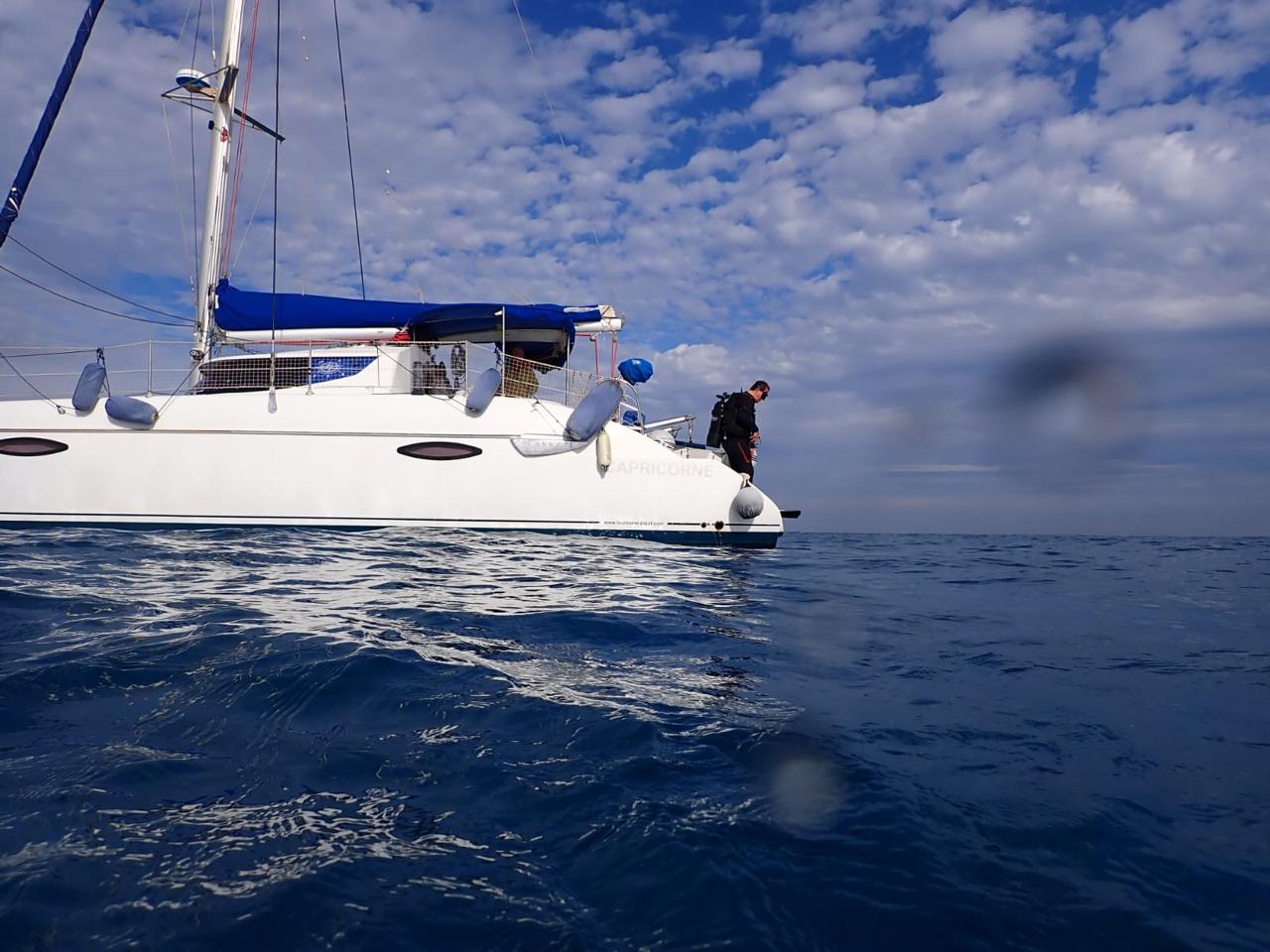 Catamaran Scorpion Gammarth